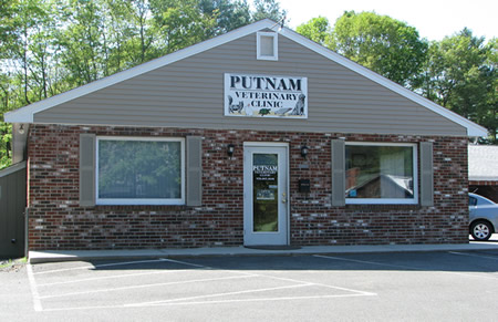 Putnam Vet - Our Building